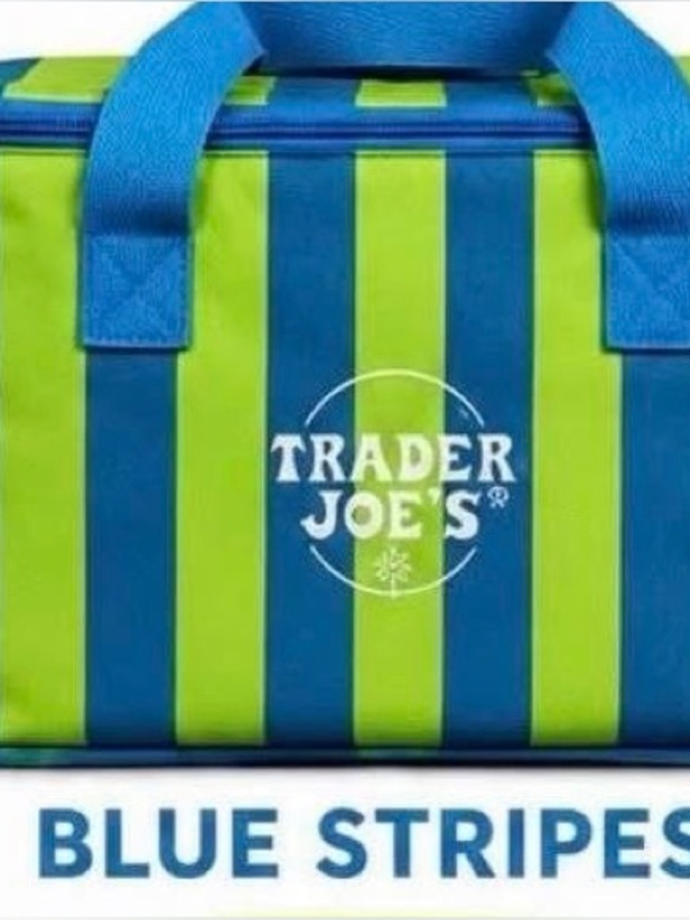 Trader Joe's Green and Blue Striped Mini Insulted Tote Embroidered Nee Release
